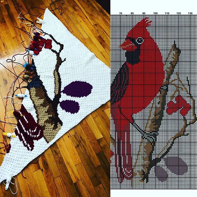 JanetRGuido's tweet image. #crochet #minic2c #fhook #cardinal @lindacat5 #graphgan ift.tt/2twlji0