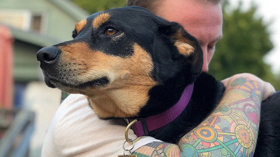 Regizacapa's tweet photo. How One Veteran is Saving Lives Back Home https://t.co/Nz9Ie8fyzo https://t.co/CFBtKJsJTz