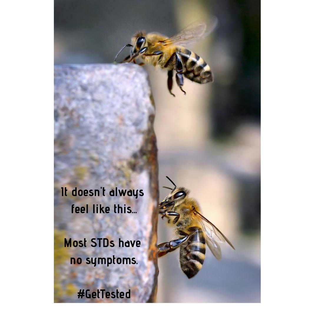 FredASSIST's tweet image. Know for sure - get tested. Appts available for tonight's clinic! $24 for #Fredonia students (cash or FredCard only) Link to appt scheduler at fredassist.weebly.com or call 716-673-3396 before 4 PM. #fredonia #safersexier #birthcontrol #stdtesting