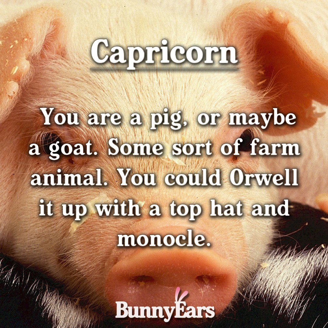 BunnyEarsWeb's tweet photo. #Sagittarius #Capricorn #Aquarius #Pisces https://t.co/Uu2grl0kXT