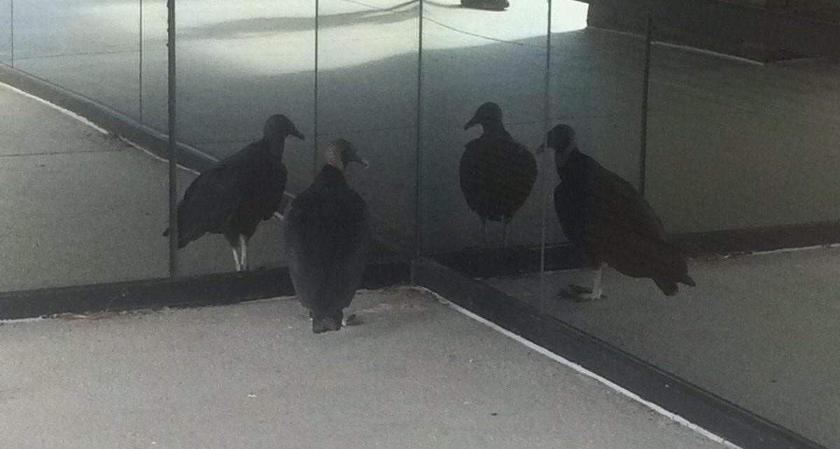 “You may be wondering why I asked you all here today”