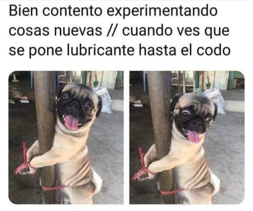 Elgary8's tweet photo. #FelizMiércoles https://t.co/sKKLEbndxF