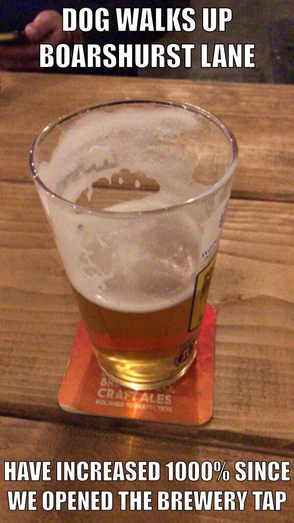 The dogs of Saddleworth are so pleased we allow them in to the Brewery Tap because “WALKIES”  are far more regular 🍻🐴🐕