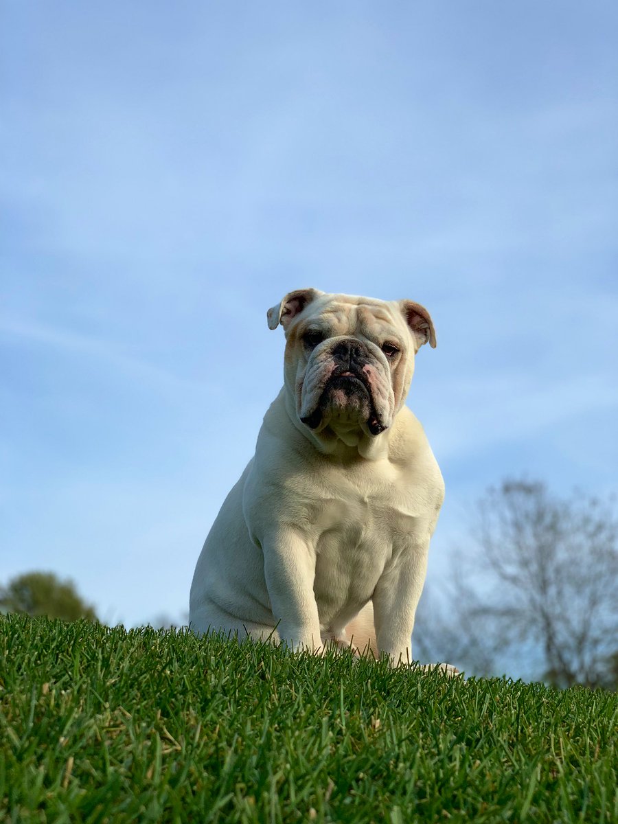 Laney Frye tweet media