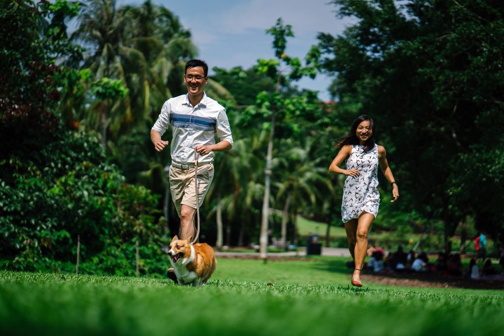 CityofSTLDOH's tweet photo. Who would be the most dependable companion to your workouts?? Your pup of course!! They will likely never complain about going on a brisk walk or even a jog. On #LoveYourPetDay this would be a perfect way to spend time and stay fit. #wellnesswednesday #walkingbuddy #joggingbuddy https://t.co/waVJe2MdU6
