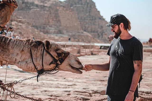 Happy Hump Day, friends! There’s nothing better than a camel who decides he’d rather lick your hand than spit on you...amiright?!💦

📸 instagram.com/p/BuHVqCelexf/ via tweet.photo