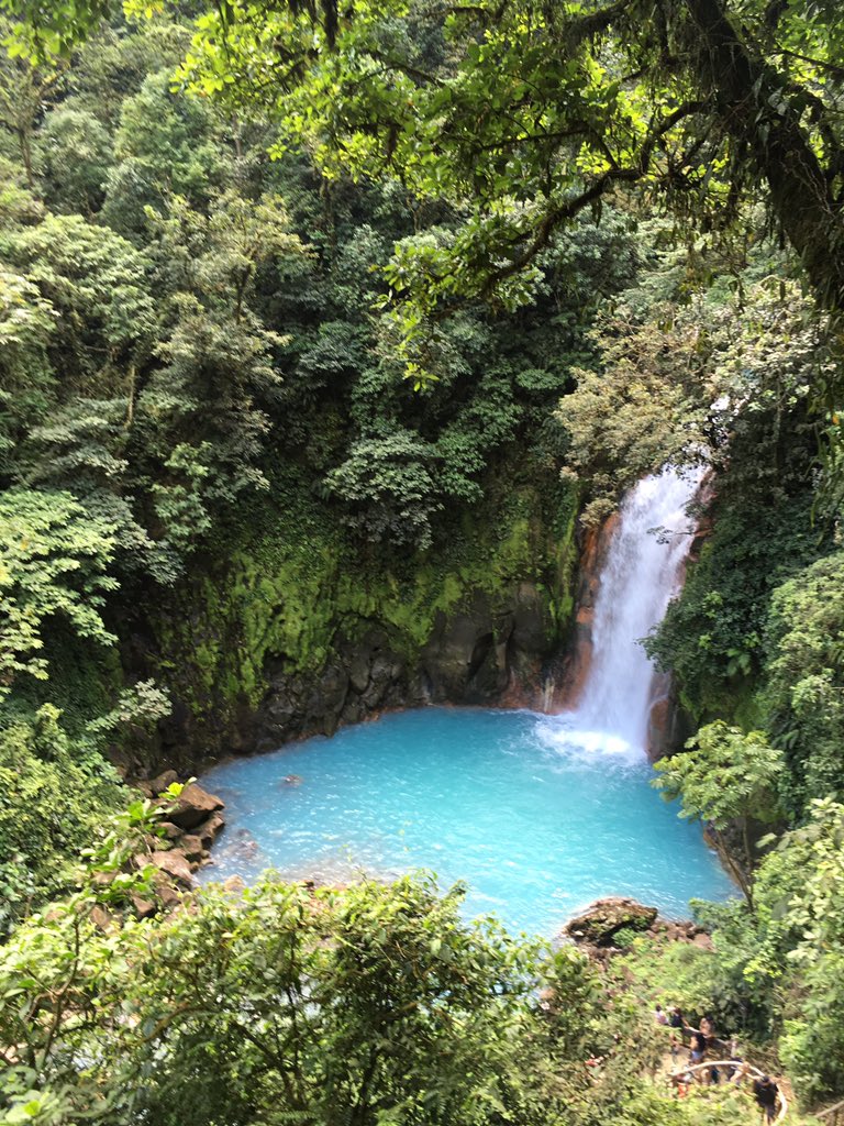 ODSSCostaRica's tweet photo. Hiked through the rainforest today. https://t.co/ND88YIO3YZ