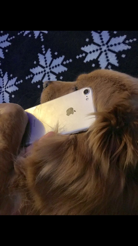 @JarrodTheLord “How’d you even get my number?”