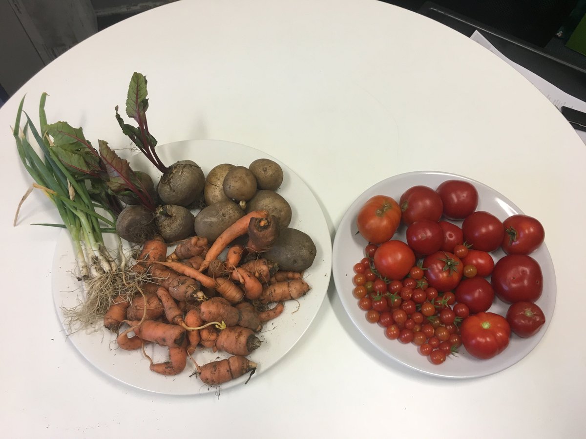 granville_ps's tweet photo. 34L students cooking up a storm with ingredients from our garden
#SAKGF https://t.co/hauQEcndap