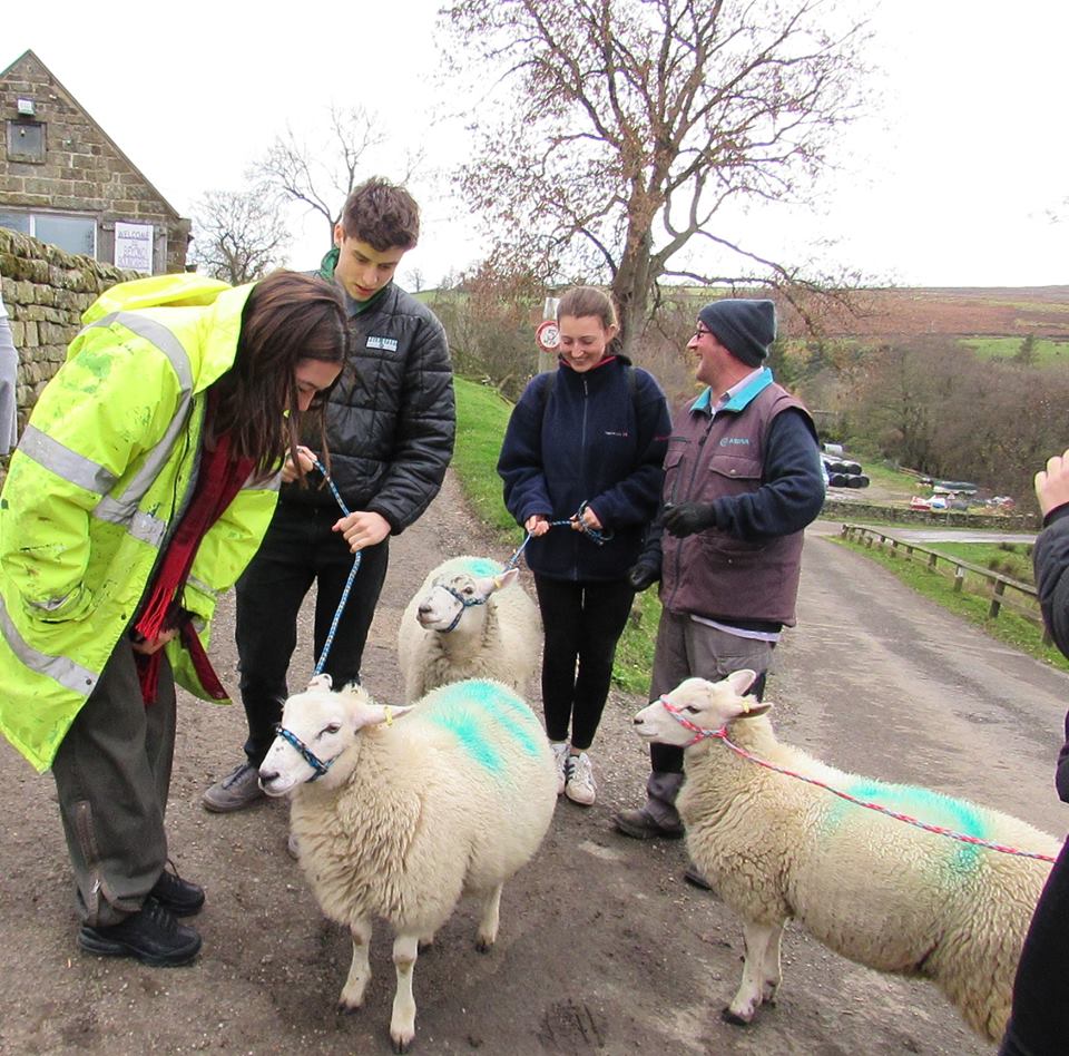 DU Student Volunteering and Community Outreach tweet media