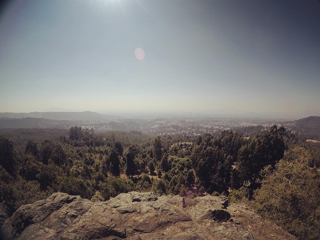hannesgarben's tweet photo. Challenge yourself and join us for a hike to Mount #Entoto this Saturday!
Time: 7 A.M. in the morning
Place: Meet at Shiro Meda  then head out for Entoto. 
Sign up for free: https://t.co/4aXPuap2s9

#Addisababa #ethiopia #addisEvents #Entoto #hiking #motivationHubET #ethiopians https://t.co/9yd5l3NgWQ