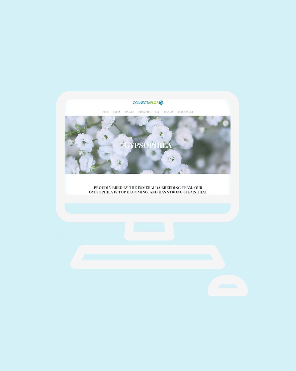 Are you getting excited to see our new website!? We sure are! 🖥 #flowers #webdesign