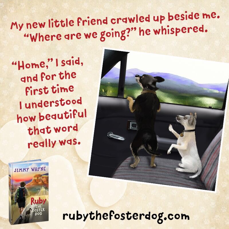 Ruby The Foster Dog tweet media