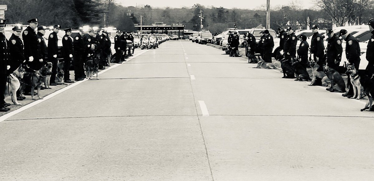 k9_retired's tweet photo. At the very end of every NYPD funeral procession you pass through this 🇺🇸🐕🇺🇸@NYPDTransit @NYCPBA @NYPDInMemoriam @SBA_president @NYPDONeill @NYPDChiefofDept #HERO #briansimonsen #NYPD #K9 https://t.co/zajJLf7ML8