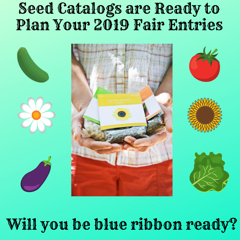 WashingtonCountyFairNY tweet media