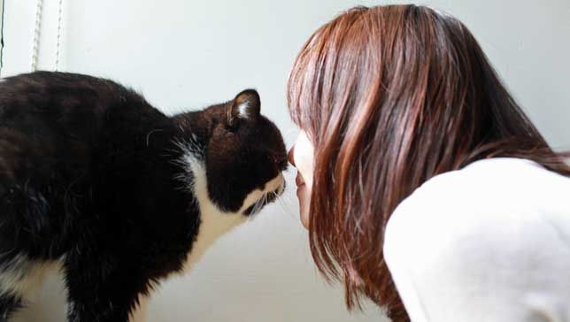 MNNPets tweet media
