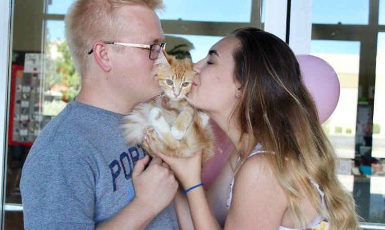 Simply Cats tweet media