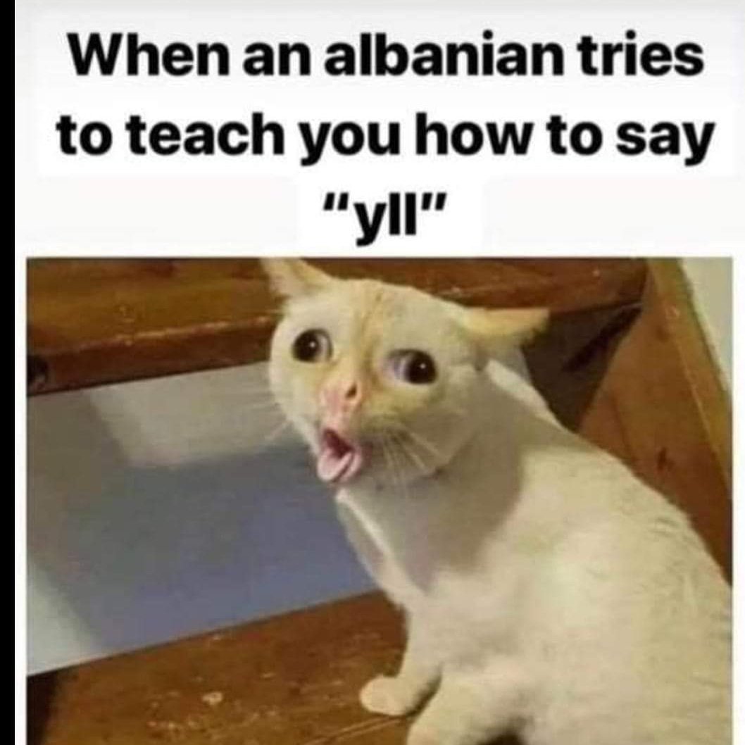 Aliceinalbania's tweet photo. It's funny because it's true #albania #albanian #tirana #albanianproblems https://t.co/VIJdXD9Q2z