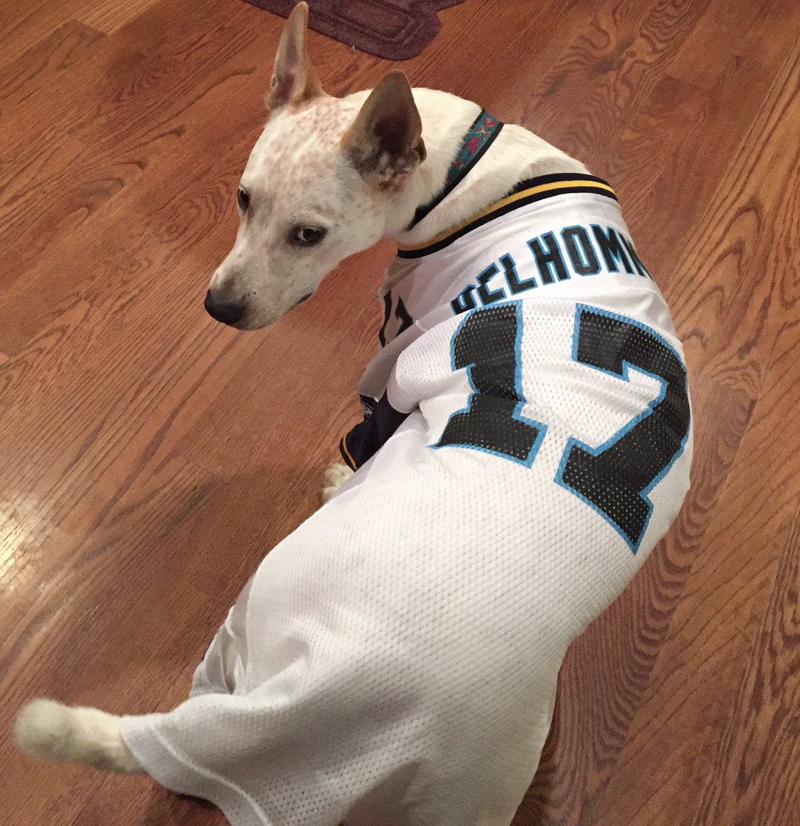 MamaPerrySays_'s tweet photo. Replying to @Panthers Dino throwing it back with Del Homme! https://t.co/v2tsBoFvuy