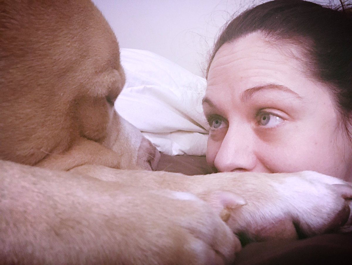 #LoveYourPetDay #rescuedog  #AdoptDontShop #YYJ