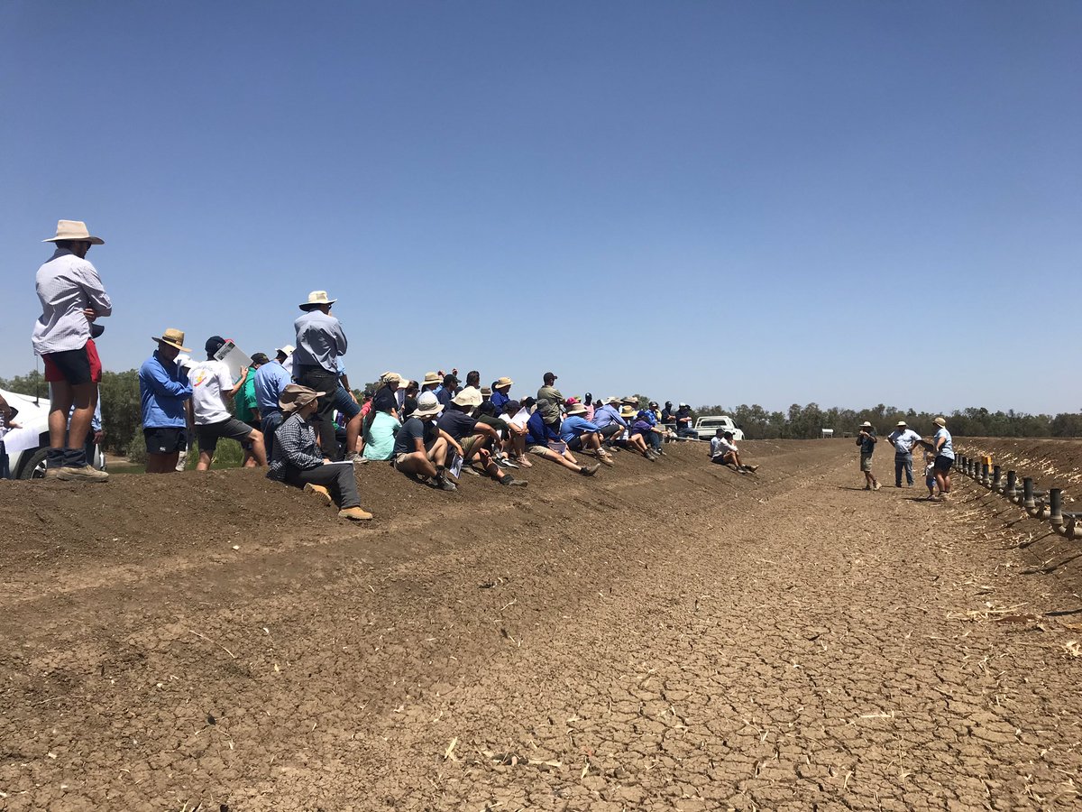 ONUS_Agronomy's tweet photo. I’m incredibly #proud to be apart of the #australiancotton industry. An industry consistently learning about better ways to manage resources; from water to people and everything in between. Family run businesses using science to create a better future for the next generation. https://t.co/2vgKI0jqNh