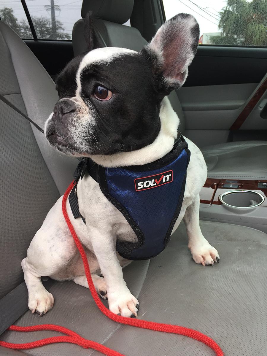 78209 Magazine tweet media