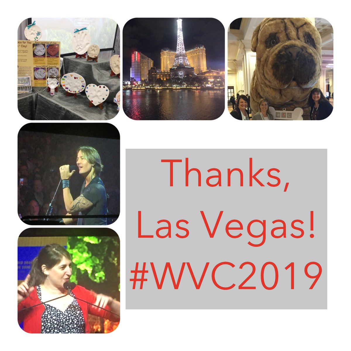 ClayPawsKits's tweet image. A lot of work + a lot of fun = one successful #WVC2019! veterinarywisdom.com