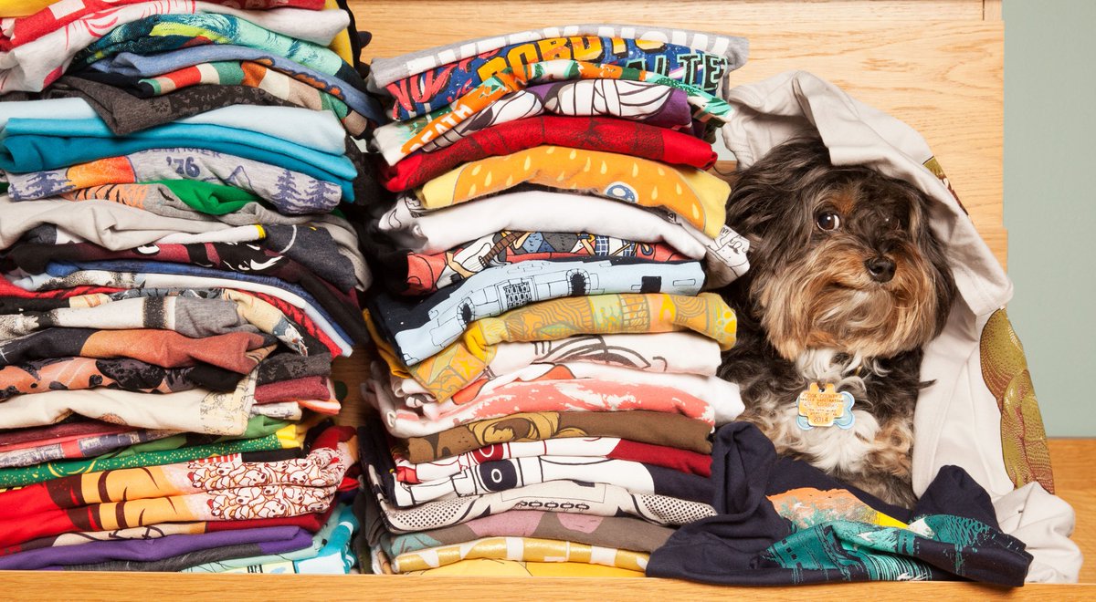 It's #LoveYourPet day and we REALLY need to see pics of your pet. We'll start!! Here's one of our office dogs, Bandit. 🐾 (Bonus points if your pet is also draped in Threadless apparel.)