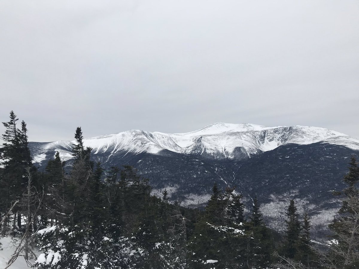 BalshawsSki's tweet photo. Day one at Wildcat Mountain did not disappoint, stunning views, fantastic snow and amazing conditions #BalshawsSki2019 https://t.co/2OENibr5j8