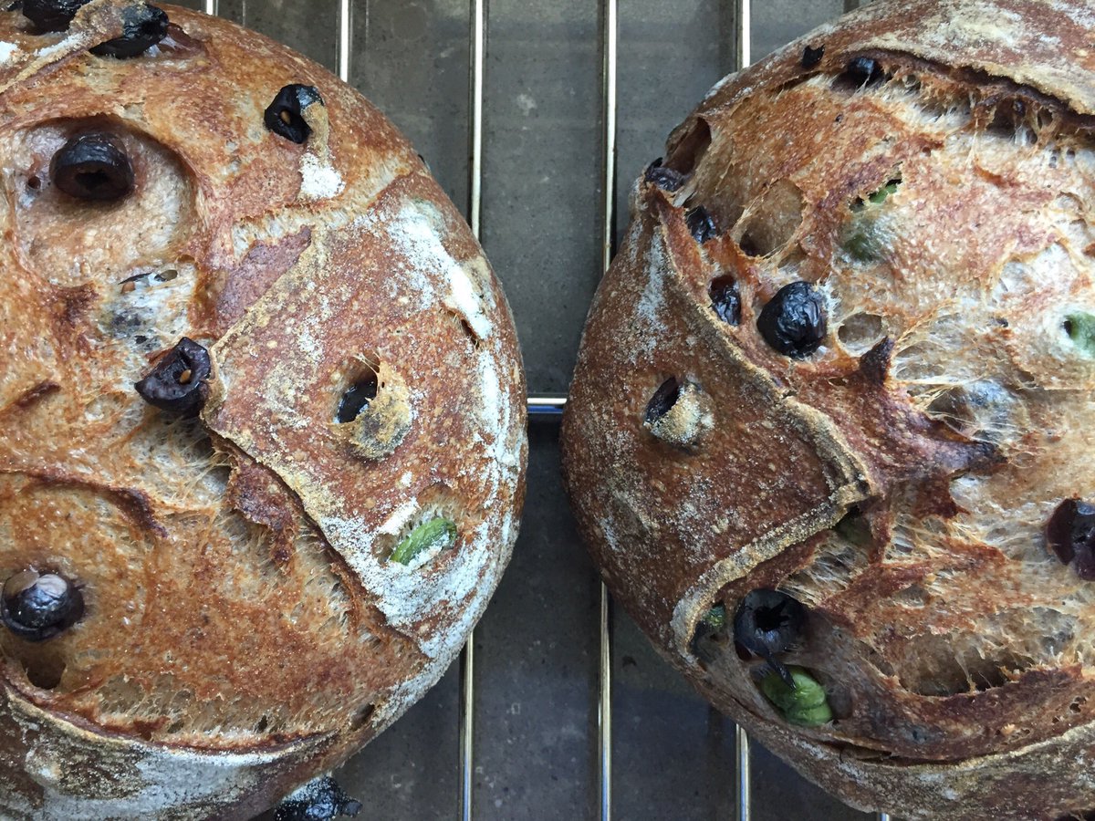 chefnathanlyon's tweet photo. Olive, lemon zest and za’atar #longfermented #sourdough @bartonspringsm Turkey Red via @LodgeCastIron combo cooker. Smells insane in here! https://t.co/EE2cl0SOGk