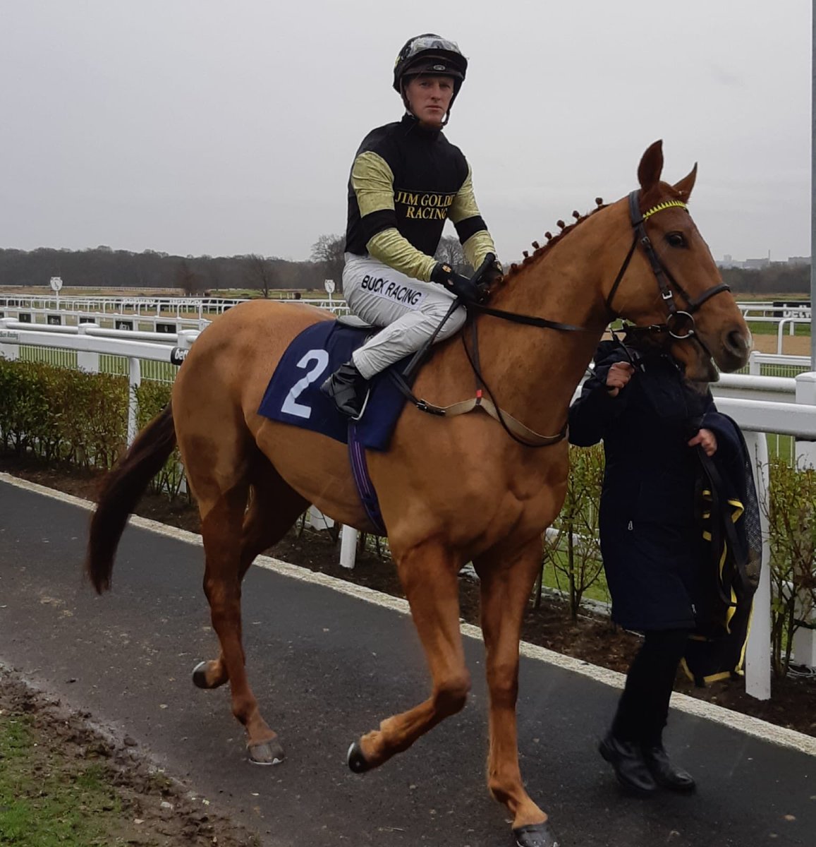 JDeltaRacing's tweet photo. 2 runs made and made @RacingPost eye catcher both times huge run for our boy today,absolutely over the moon thanks for all the kind messages,great ride from @Gormless123  😍😍😍 Call Me Ginger #JDR #FastTrackQualifier https://t.co/3ZW0r7GMTb