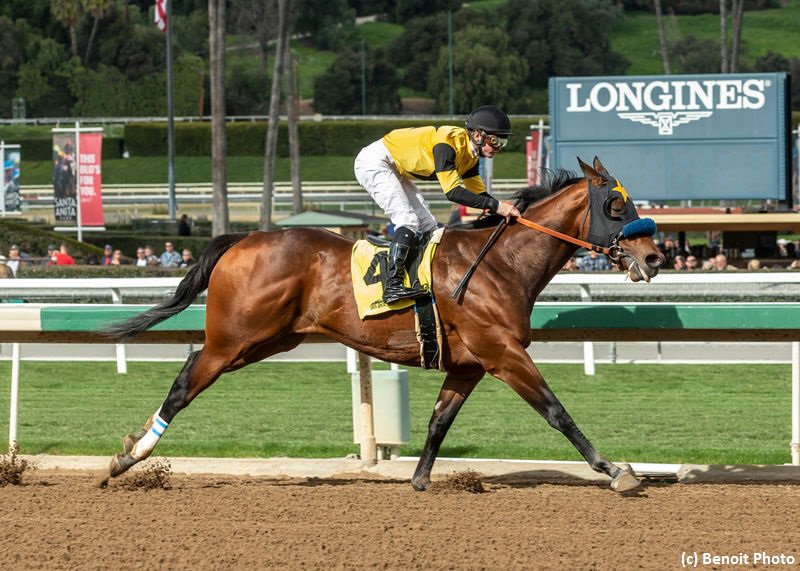 TwinSpires's tweet image. Road to the @KentuckyDerby Horse Profile: #Galilean
🏇⭐️🌹🏆
bit.ly/2V2I3Si
📸 (c) @benoitphoto_