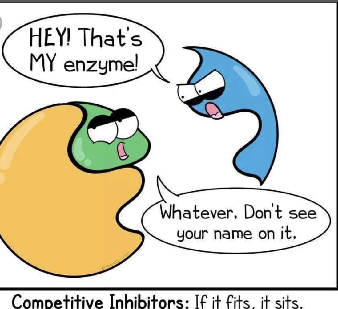 AshlynnK02's tweet photo. @UNKBiol106 #106Week7PTS19 https://t.co/PYaEGSUcCo