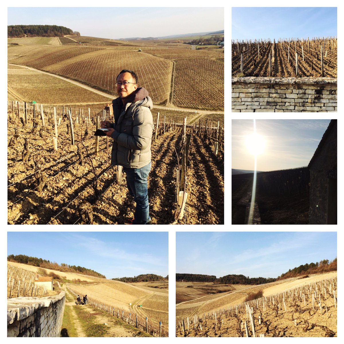Matth_Mangenot's tweet photo. Back to La Moutonne with @KenichiOhashi, a true Chablis lover and connoisseur ! Have a safe trip home ! #chablis @Bichotwine https://t.co/69qi4PdQE2