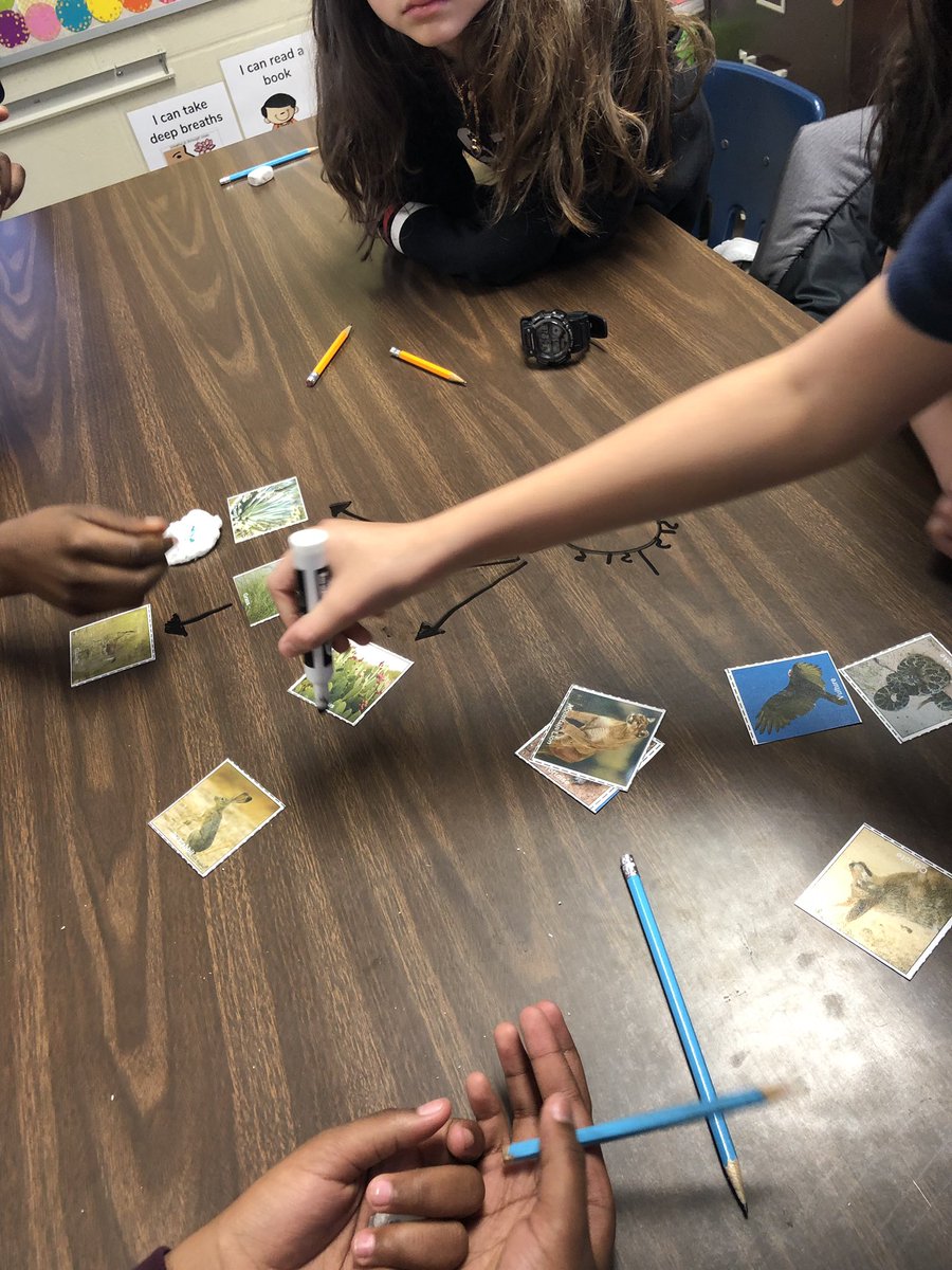 roopasan's tweet photo. Ss creating food webs for different ecosystems. #4thgradescience @GrayElemEagles @louise4jones @DjedwardsMs @MrsBringmann @SerjioMedina @STARS_902 @DMAC_KC #GrayTScience https://t.co/ICTjFLPWwa