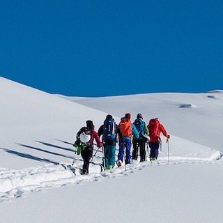 MSA Adventures tweet media