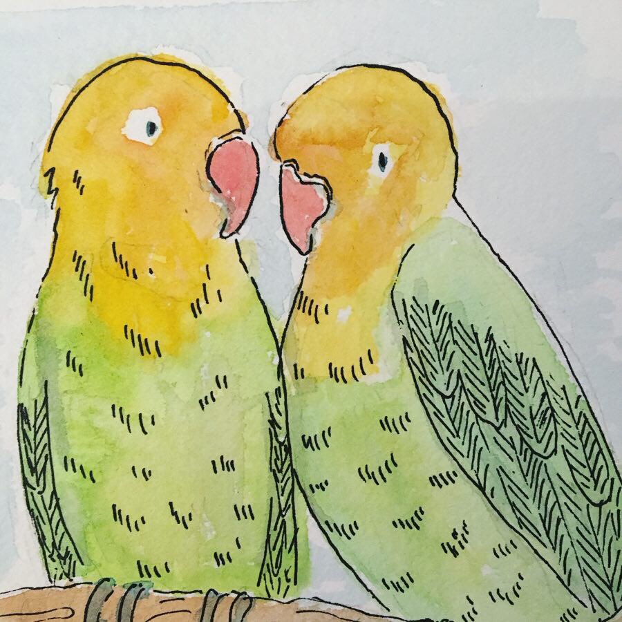 nells_originals's tweet photo. Hi #VisibleWomen - a little late to the party, but hello! I’m an illustrator based in London, and use pen and ink and watercolour, as well as digital. #nellsoriginals https://t.co/mflnrCreeH