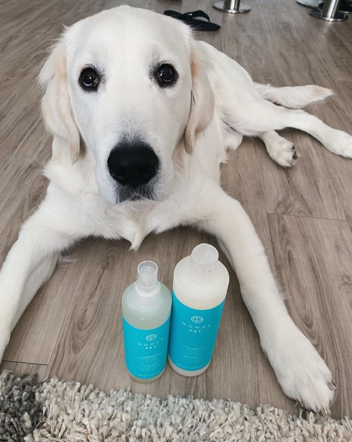 MONATOfficial's tweet photo. "Hey guys... my mom got me some cool new things from her haircare company cus Iβm the goodest boy!!"- πΆJackson, @polarpupjack on Instagram.
#loveyourpetday #MONATpet #rebarkable https://t.co/qwacVJD4WR