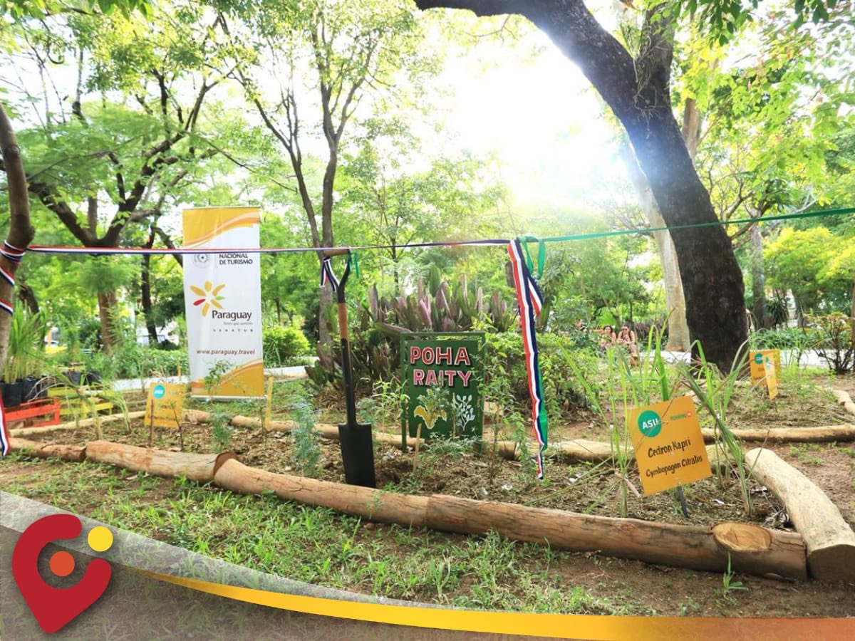 Oscar Nenecho Rodríguez tweet media