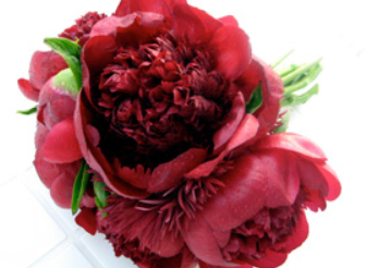 OneofaKindEvent's tweet image. Peonies in winter??  These high demand flowers are usually associated with spring and early summer.  But few know that some varietals (think whites and reds) are also available in winter!