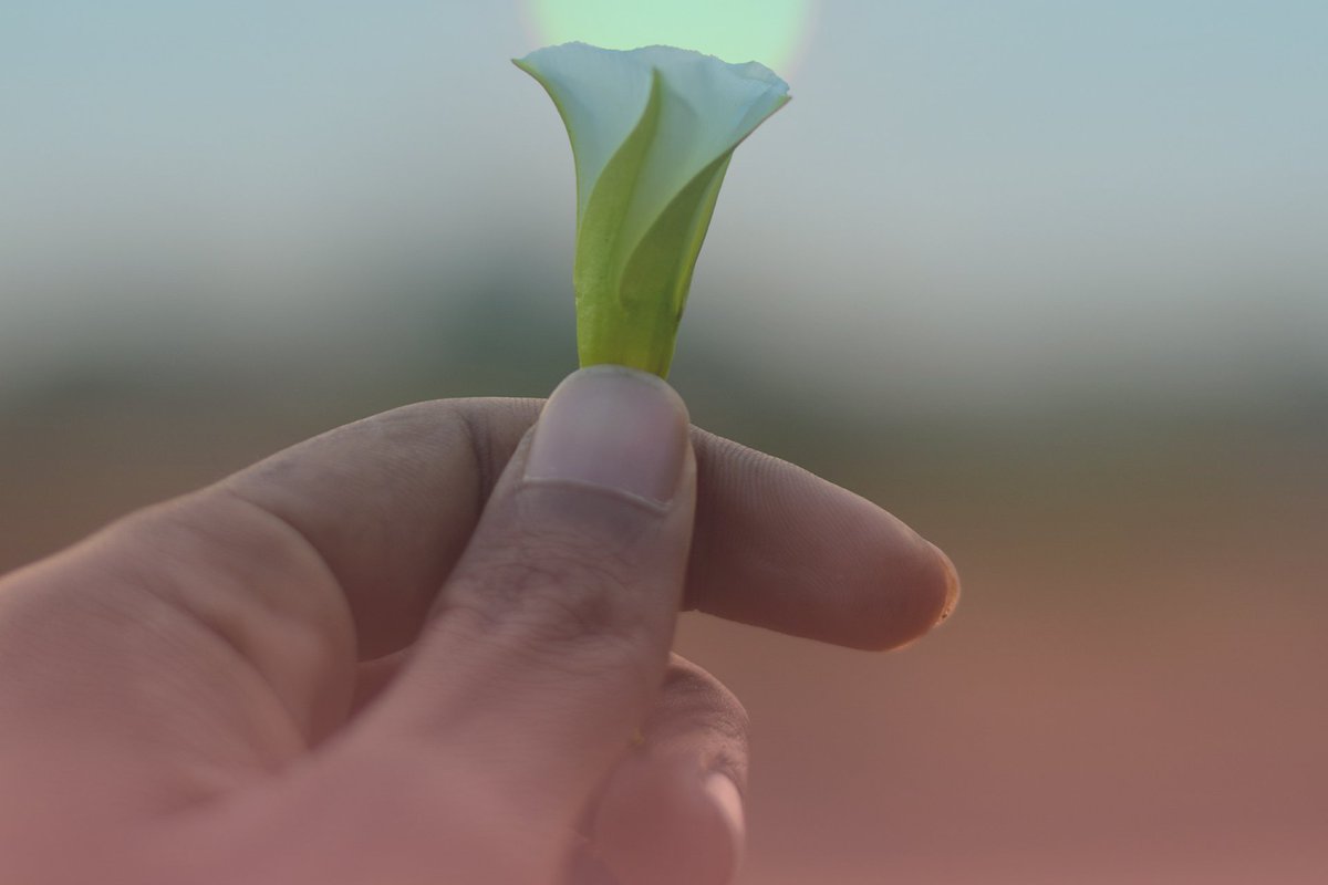 Do you have numbness over the back of your thumb and hand? This could be coming from the radial nerve. Let’s take a look at what radial nerve is, and the conditions associated with it: ow.ly/RCGR30nMlXW 
#handtherapy #physio #loveyourhands #handtherapist #physiotherapy