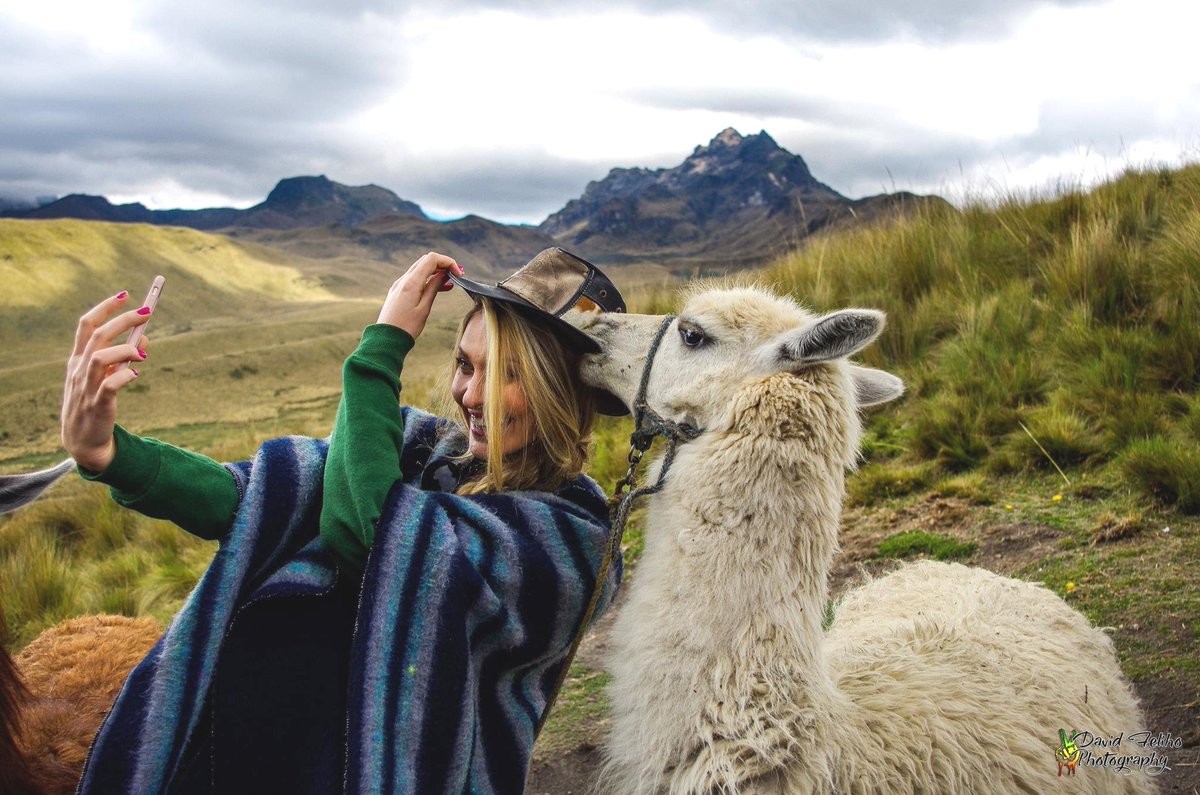 martintrips's tweet photo. super cool memories from M Click this, it’s amazing Follow me

#destination_wild #vacationneeded #wanderlusttribe #brandyourbusiness #entrepreneurtip https://t.co/IkKwFtHMFR