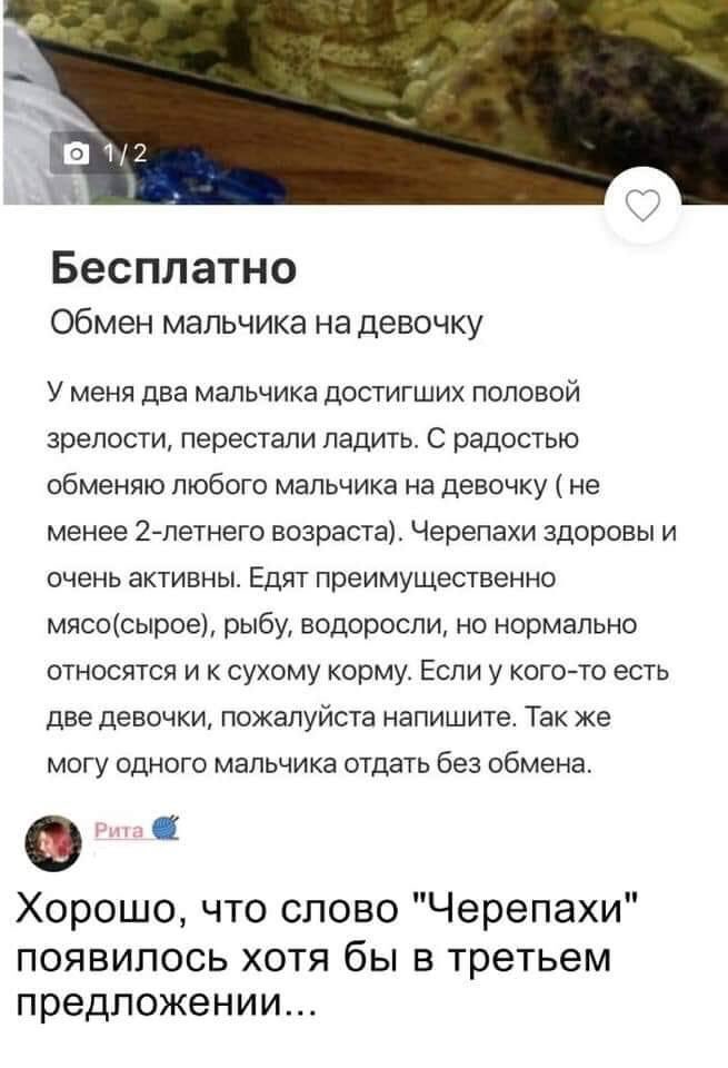 небесный марик (@qmarik) on Twitter photo 
