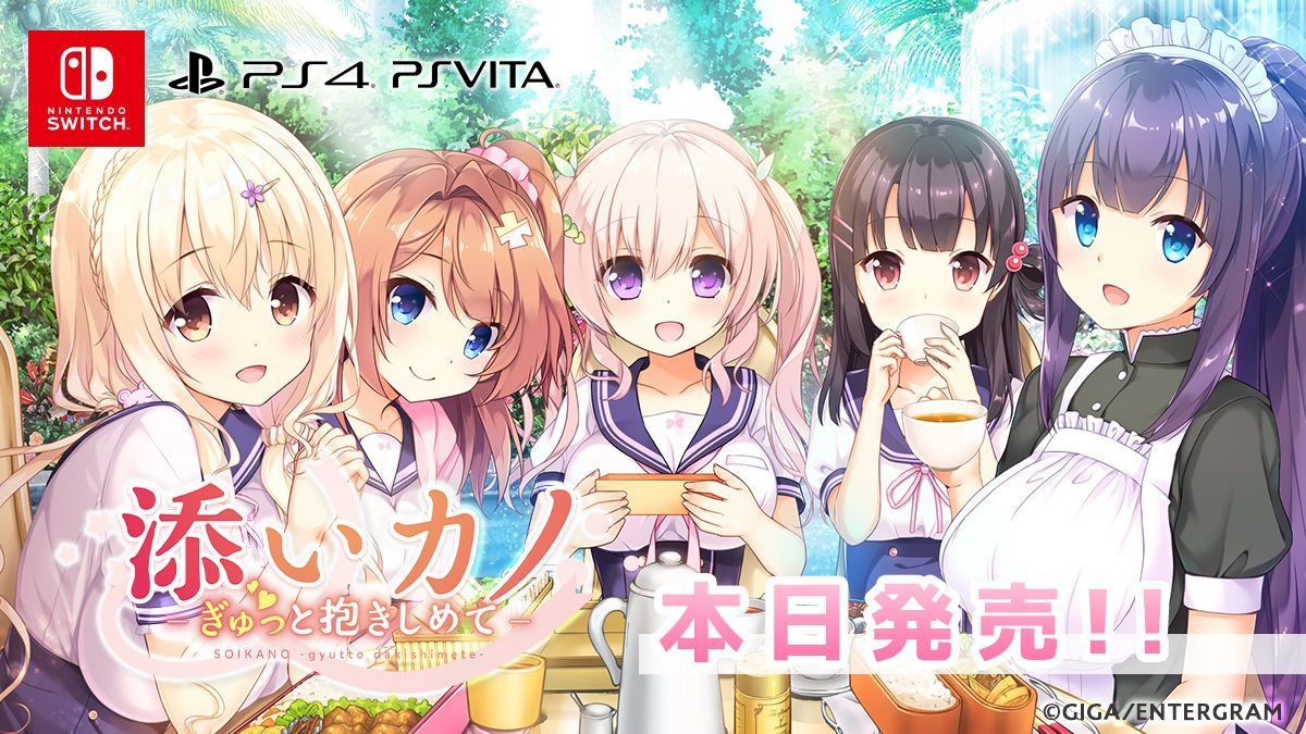 添いカノ〜ぎゅっと抱きしめて〜 完全生産限定版 非常に良い】 添いカノ ~ぎゅっと抱きしめて~ 通常版 - 注文 PSVita