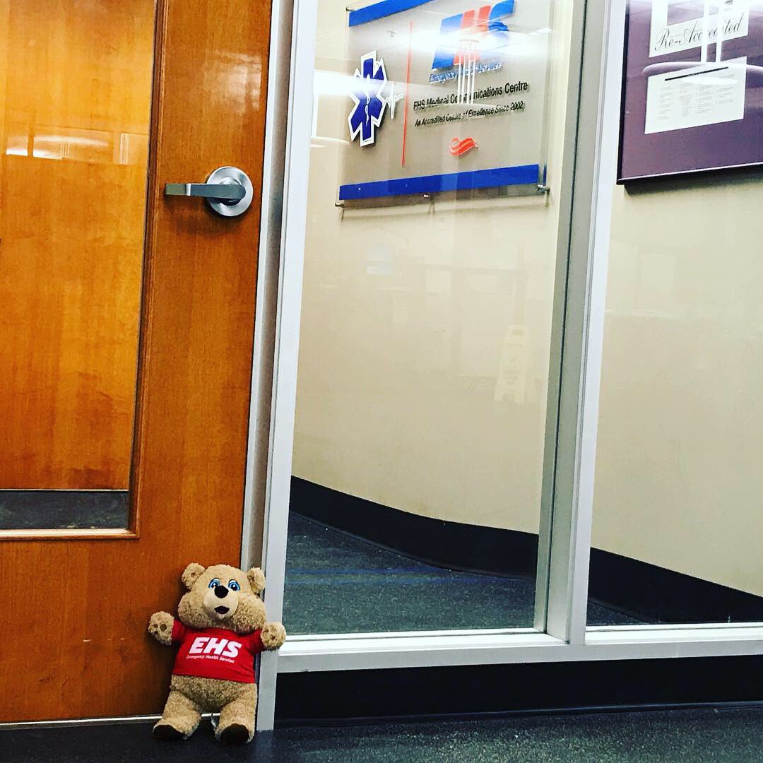 EHS_NS's tweet photo. In support of all who mourn, in honour of lives lost and with gratitude to those who respond. #Bears4BarhoChildren https://t.co/MDEyAmfbTc
