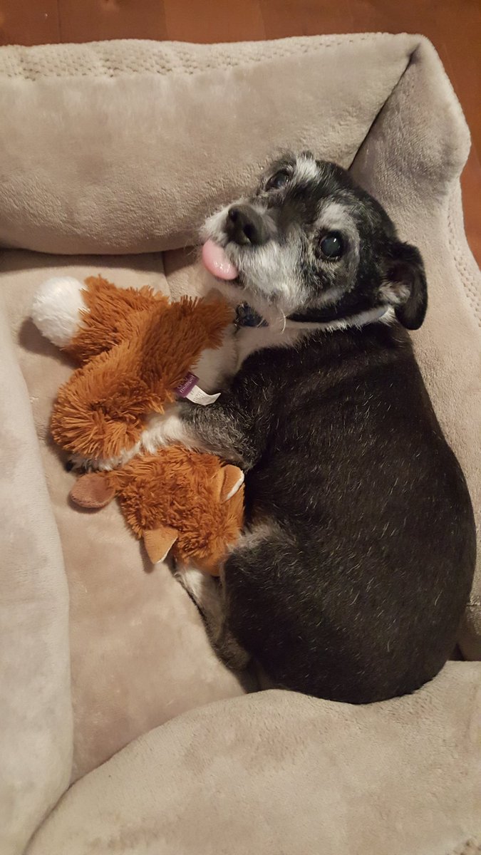 Katie Palma tweet media