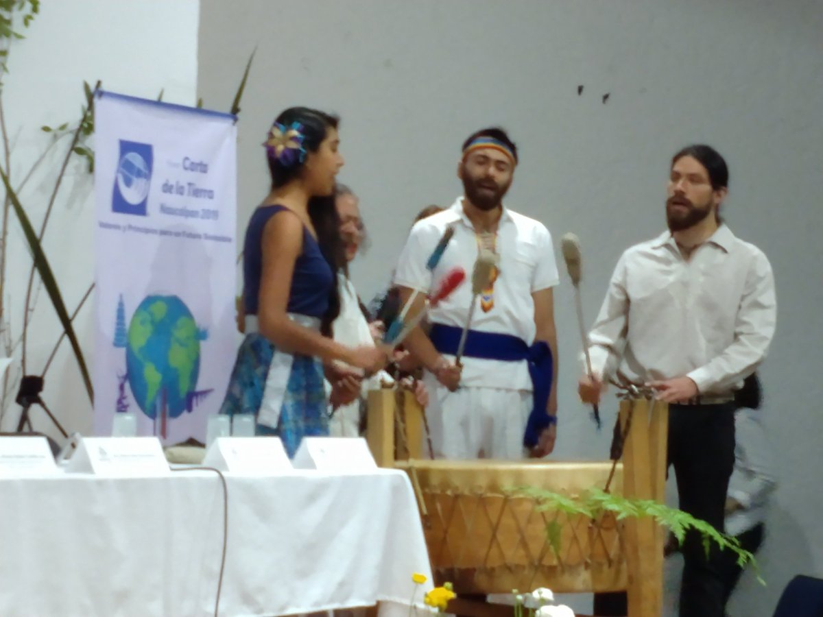 Gaia, A.C. México tweet media