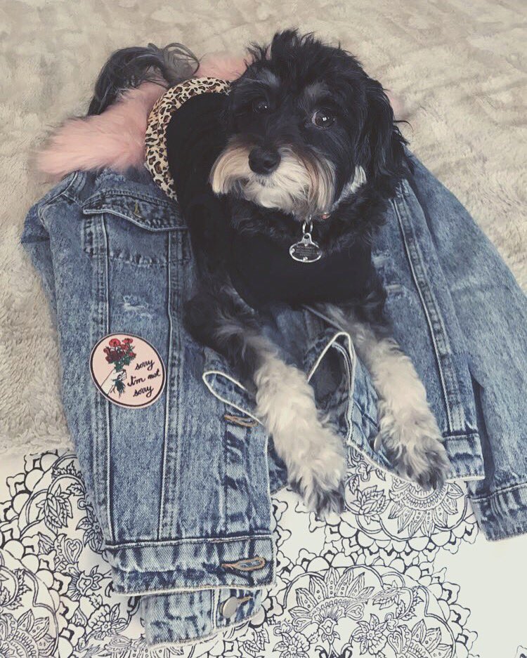 discoxsoul's tweet photo. LOVE YOUR PET DAY 🐾 🌙
#LUNAGIRL #MOONMAMA https://t.co/ULHoY1J1i2