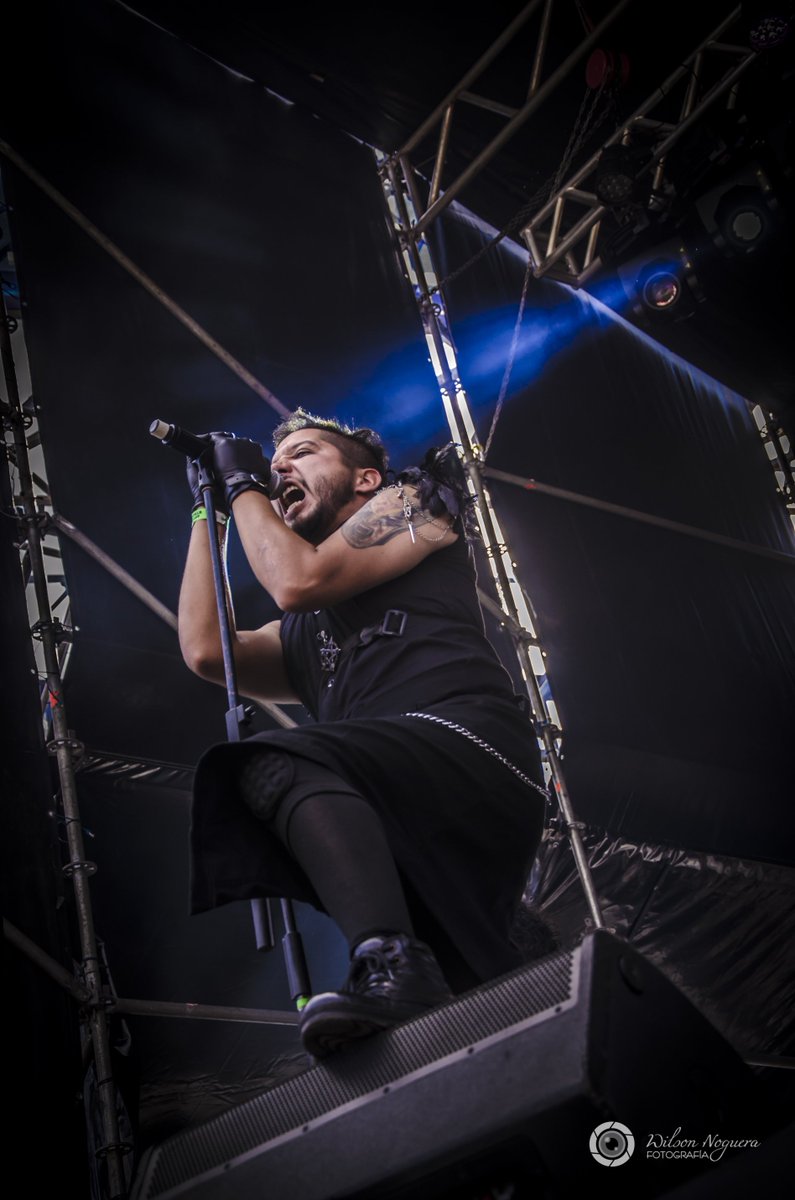 Will Noguera tweet media