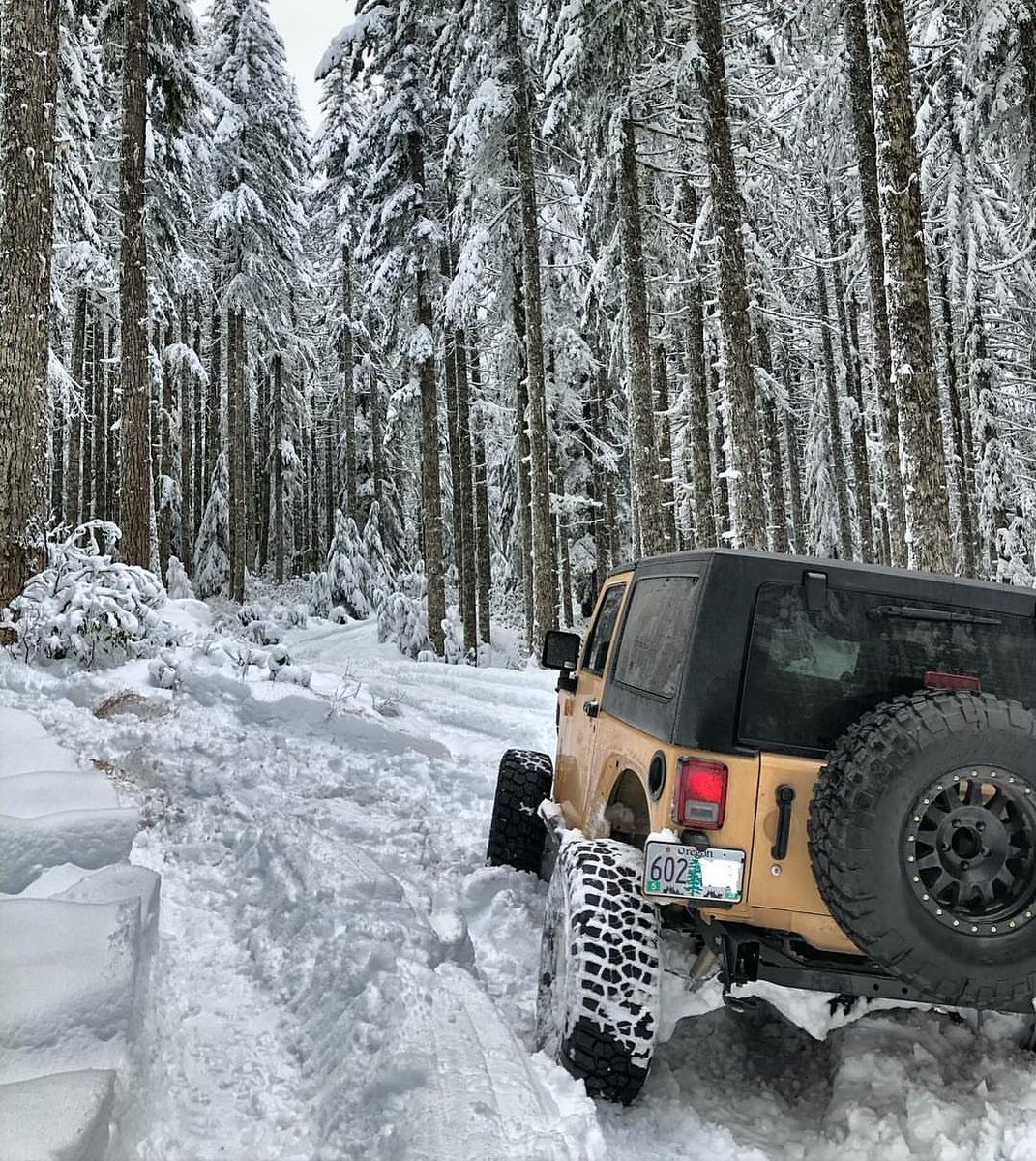 JustAddMud's tweet photo. More snow! It was pretty, not as pretty as this though. 📸@sandboxjk #justaddmudoffroad #jeepfriends #jeepwranglerlife #doorsoff #offroadinggoals #4x4 https://t.co/23OThcrFrb